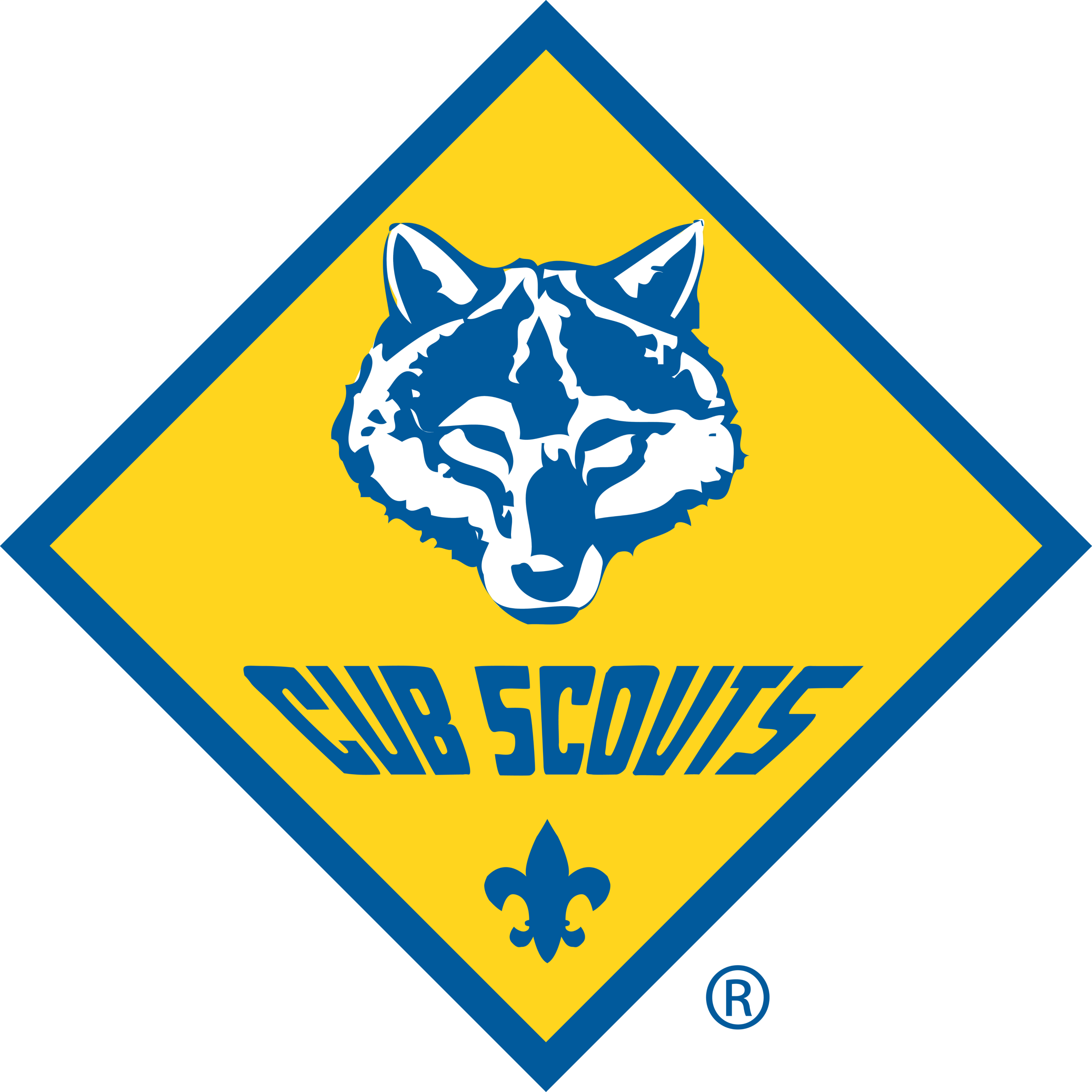 Cub Scout Image for Web